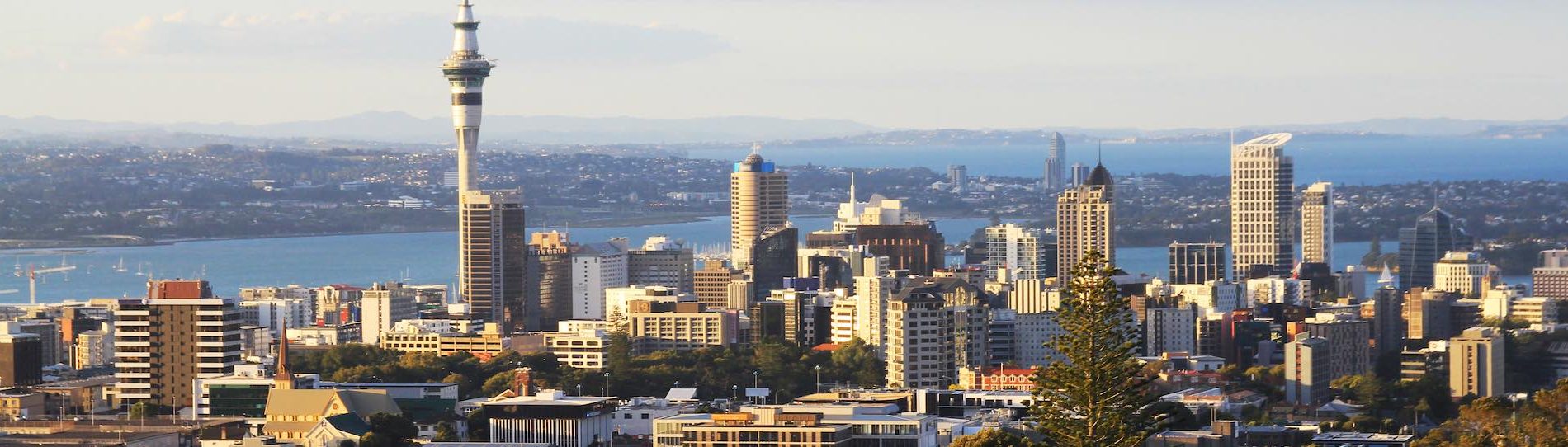 aerial view of auckland highrises