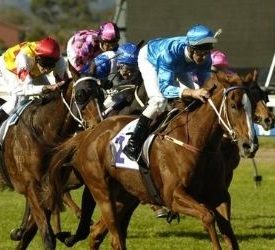 boys adelaide horse racing