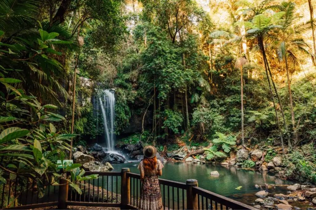 Tamborine mountain gold coast