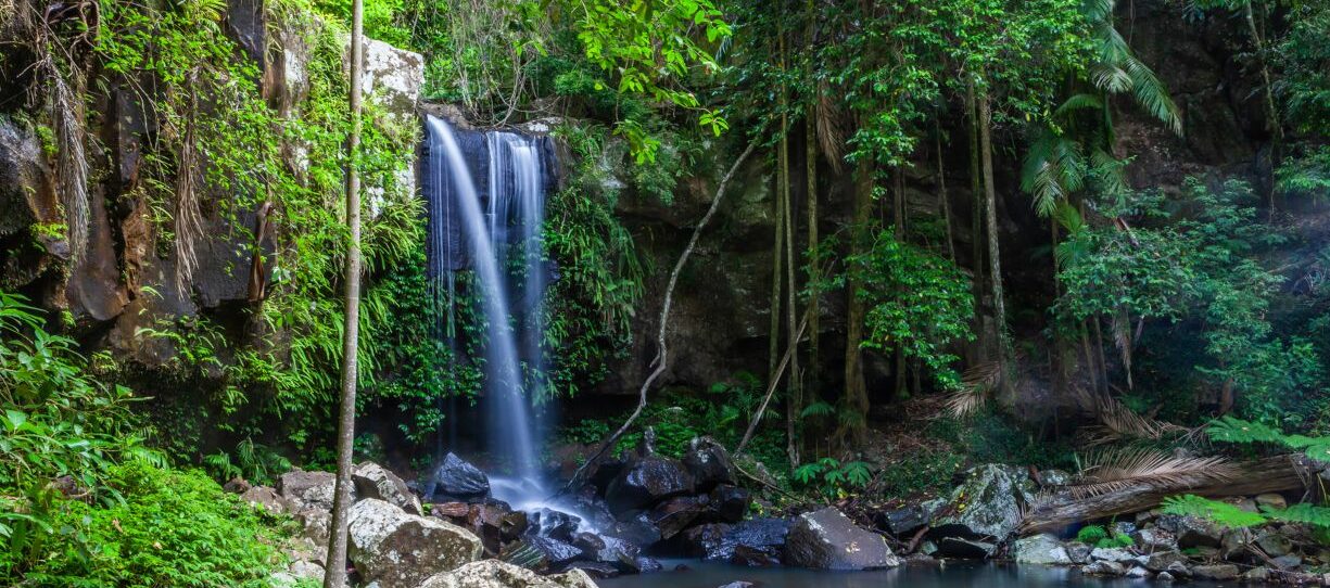 Scenic Curtis Falls in Tamborine National Park, Queensland, Australia