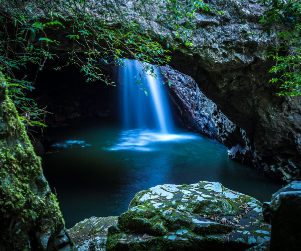 springbrook national park