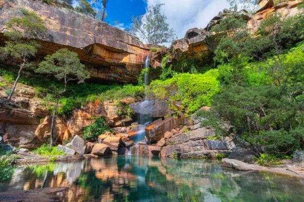 Carnarvon Gorge - Carnarvon Great Walk Team Trips