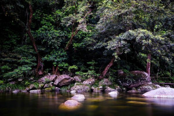 Mossman Gorge - Rainforest Circuit Friends