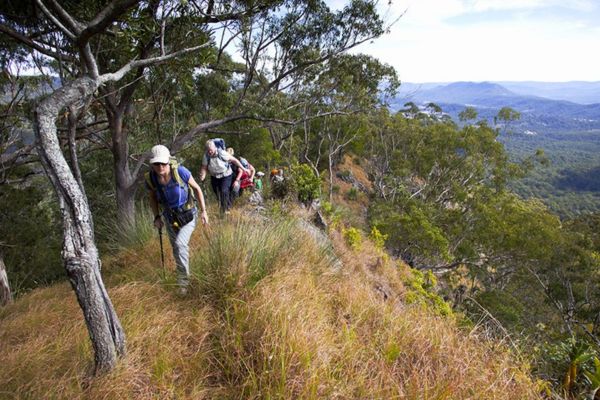 The Scenic Rim Trail Team Trips