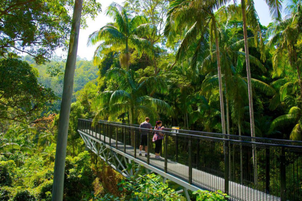 Mount-Tambourine-Team-Trips-Brisbane-Day-Trips