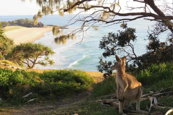 Stradbroke-Island-Team-Trips-Brisbane-Day-Trips